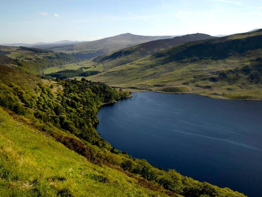 The Lodge At Woodenbridge Аклоу Экстерьер фото